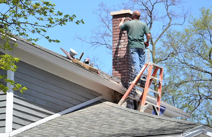 Chimney & Fireplace Inspections Services in Williamsport, PA